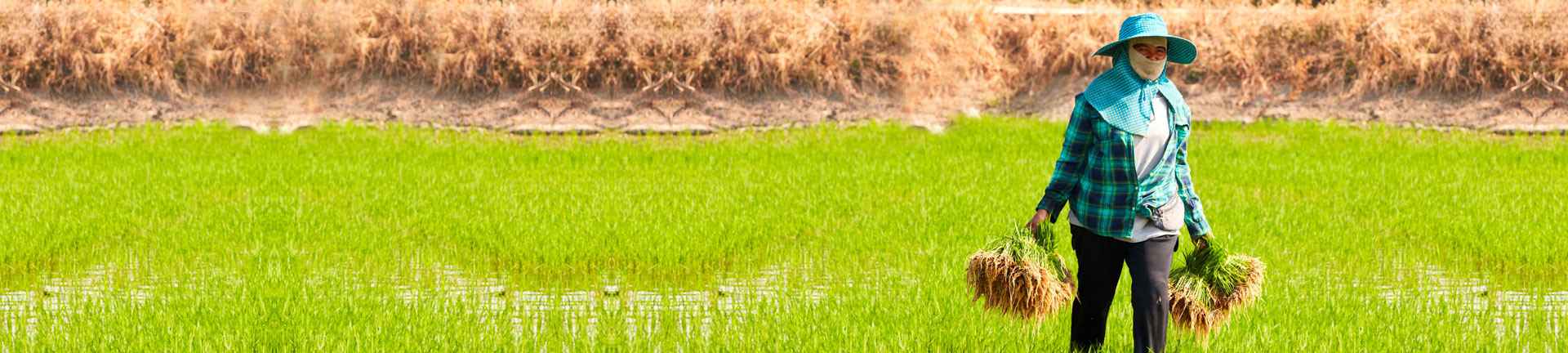 Levelling the Playing Field for Women in Farming