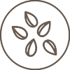 Grains, Animal Feed & Protein