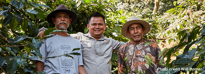 Two Indonesian coffee farmers with an Olam buyer. 