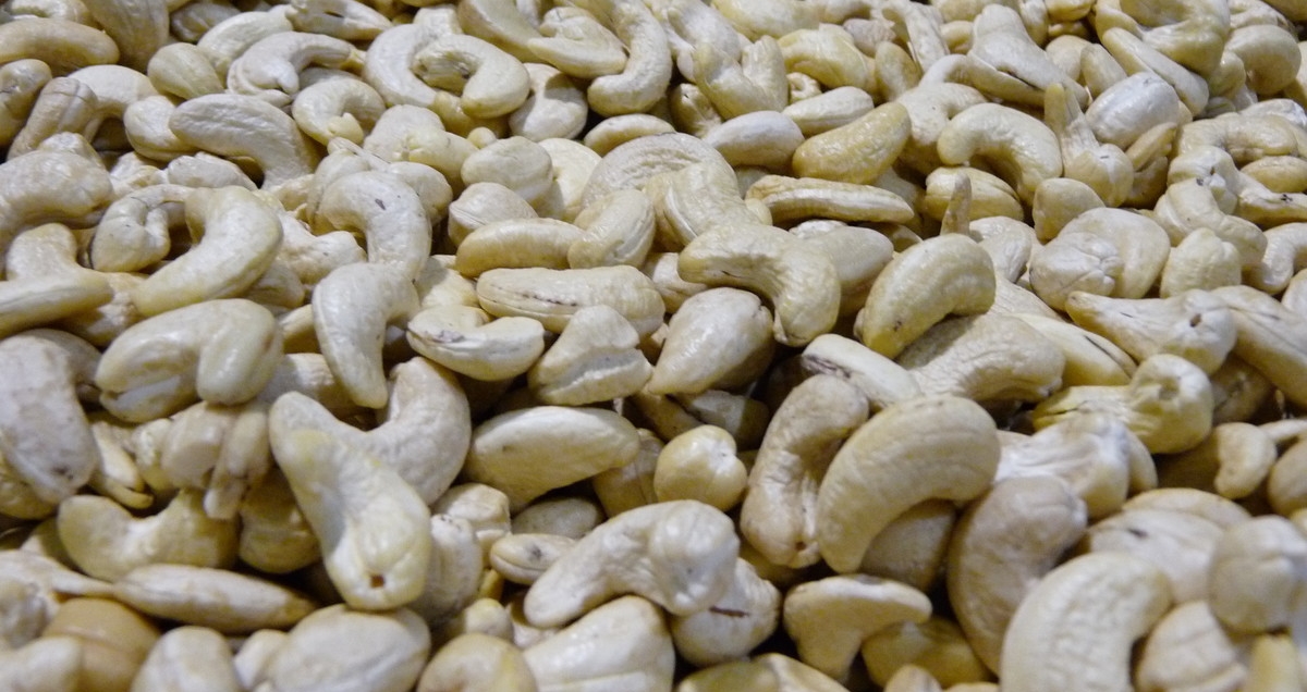 A mound of clean, raw cashew nuts in an Olam factory, CDI. We are the only fully-integrated company in most major producing and processing origins.