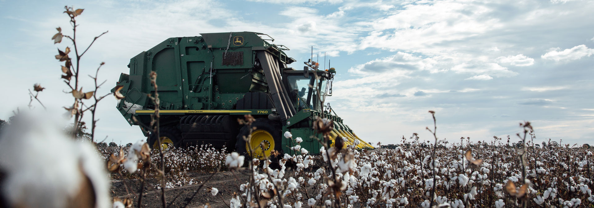Largescale Farming Cotton in the USA