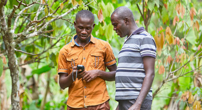 Child Labour Monitoring