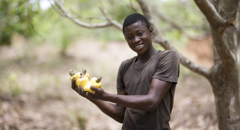 Man working in agriculture field