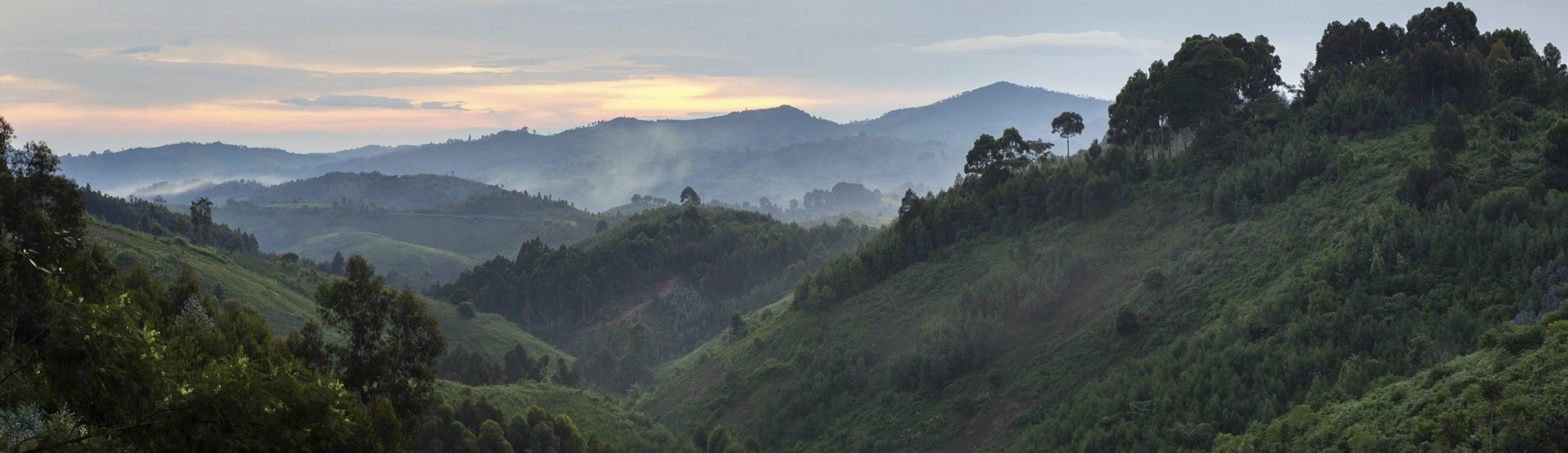 Annual General Meeting